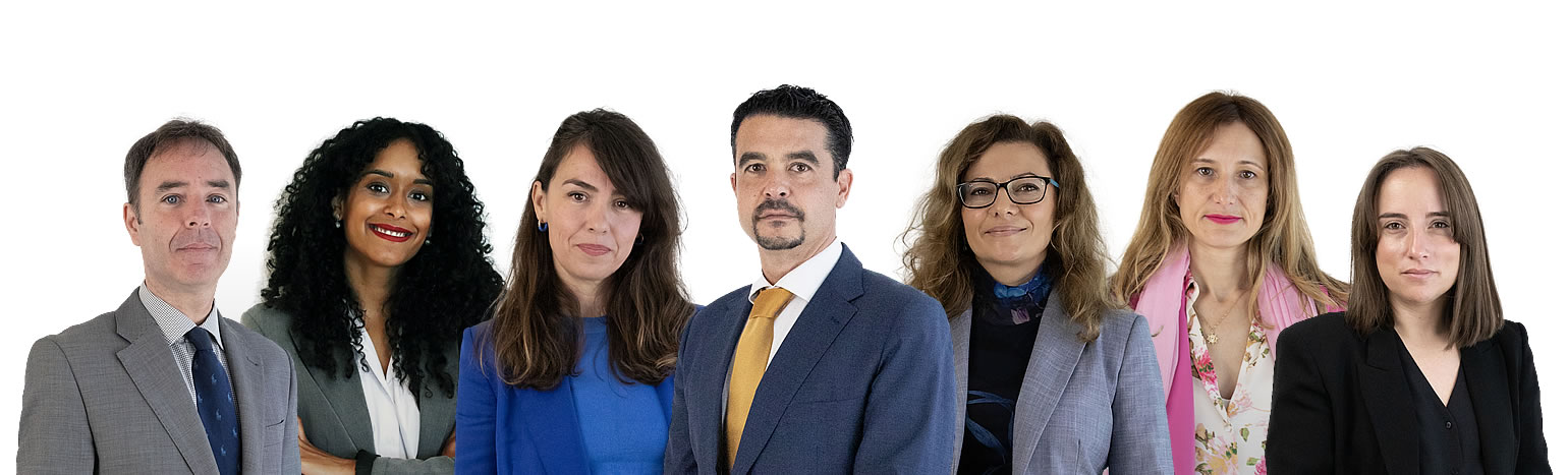 The Legal Team