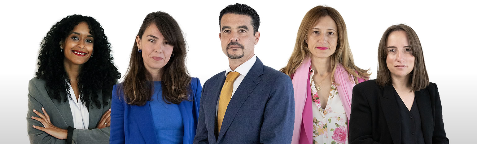 The Legal Team The Legal Team